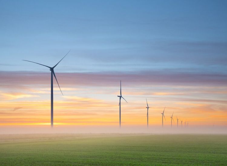 Windräder auf hügeliger Landschaft