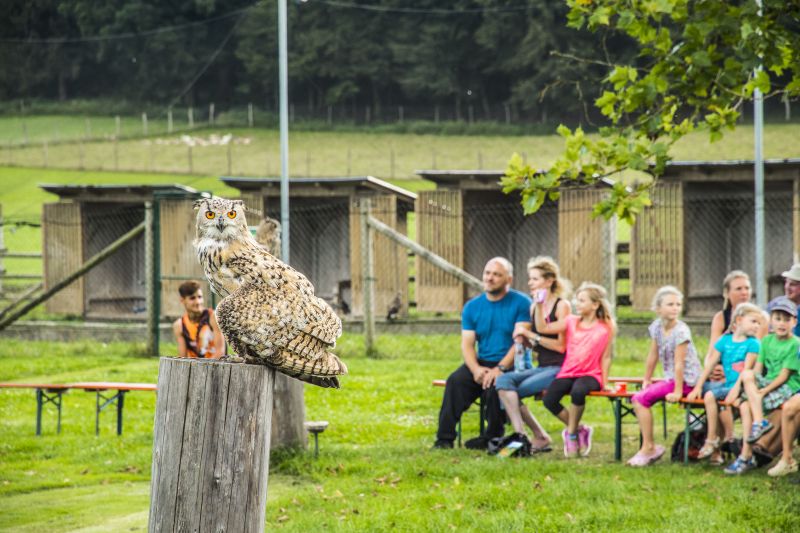 Bild öffnen
