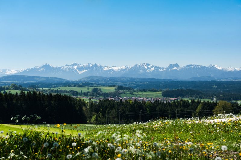 Bild öffnen