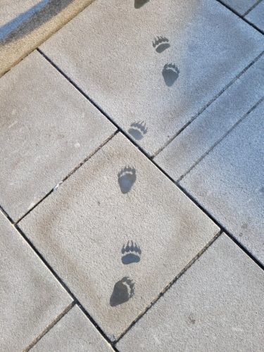 Link zu einem externen Ziel